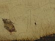 Coque_07